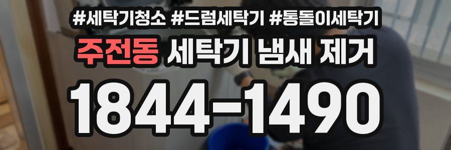 주전동 세탁기 냄새 제거