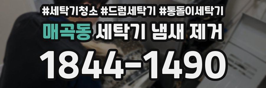 매곡동 세탁기 냄새 제거