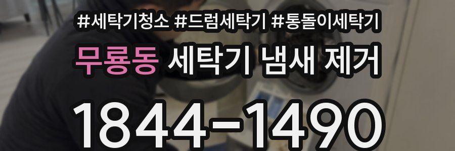 무룡동 세탁기 냄새 제거