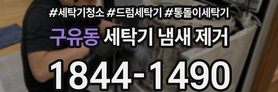구유동 세탁기 냄새 제거