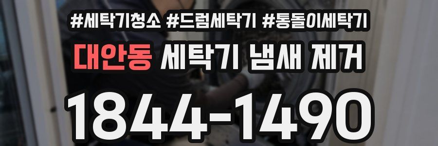대안동 세탁기 냄새 제거