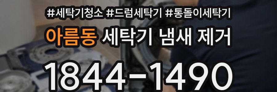 아름동 세탁기 냄새 제거