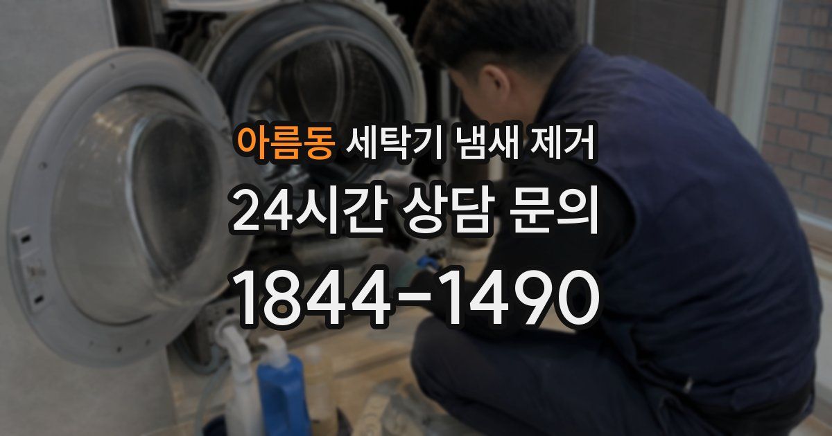 아름동 세탁기 냄새 제거