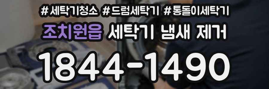 조치원읍 세탁기 냄새 제거