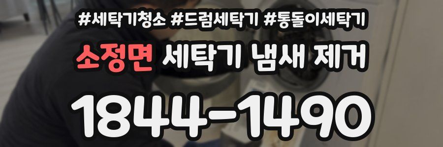소정면 세탁기 냄새 제거