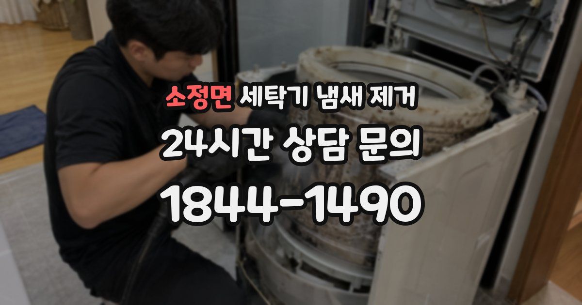 소정면 세탁기 냄새 제거