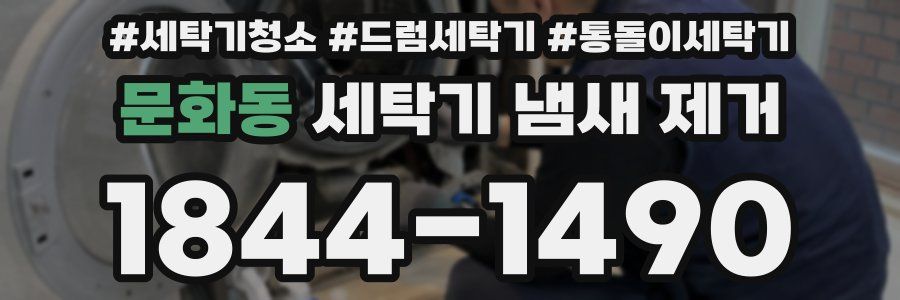 문화동 세탁기 냄새 제거