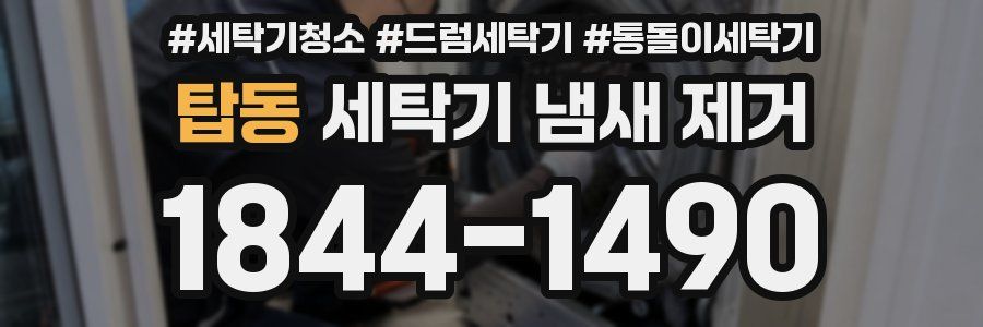 탑동 세탁기 냄새 제거