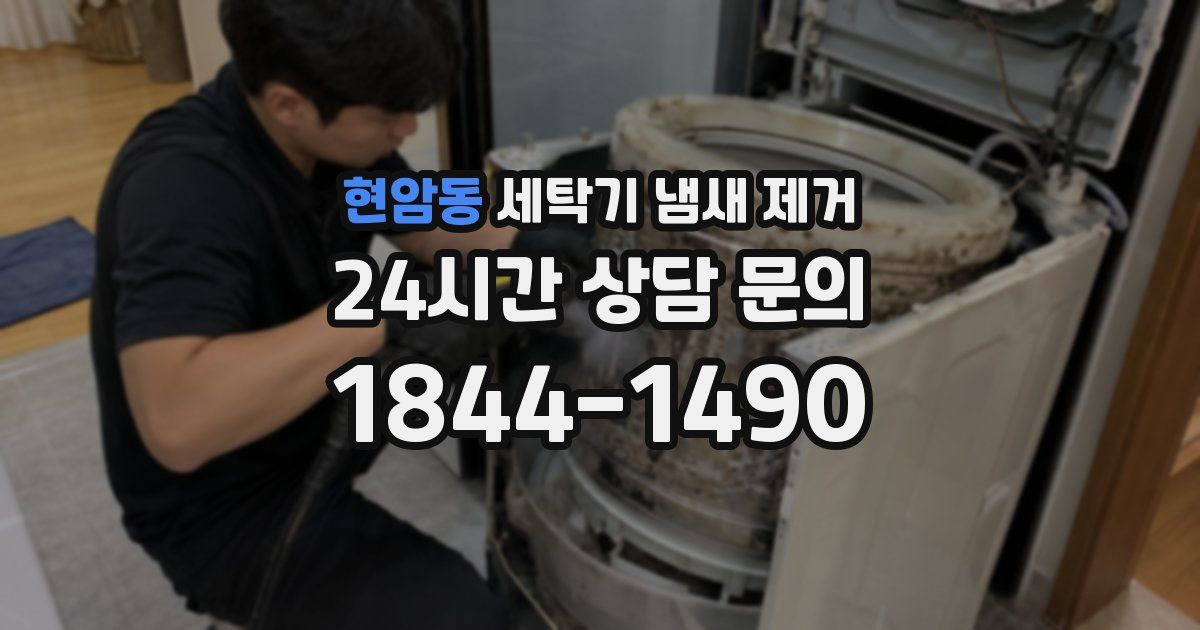 현암동 세탁기 냄새 제거