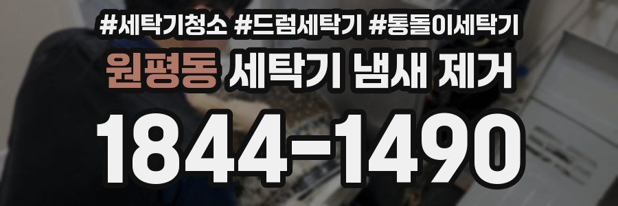 원평동 세탁기 냄새 제거