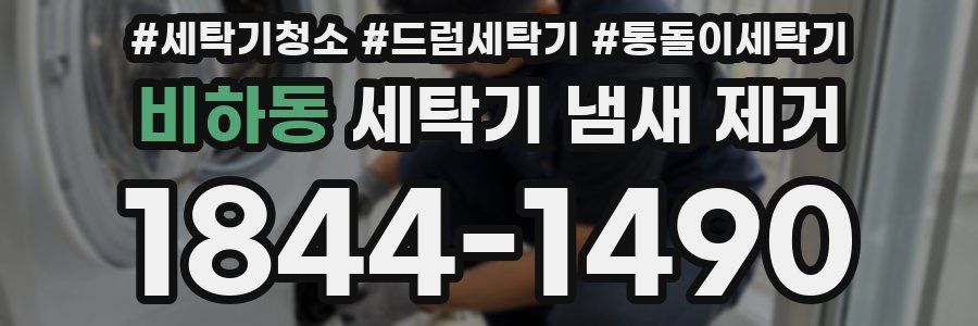 비하동 세탁기 냄새 제거