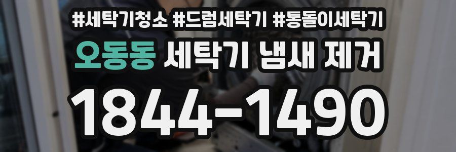 오동동 세탁기 냄새 제거