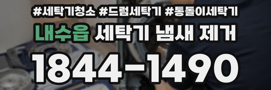 내수읍 세탁기 냄새 제거