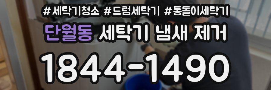 단월동 세탁기 냄새 제거
