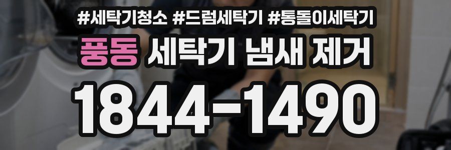 풍동 세탁기 냄새 제거