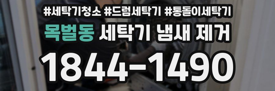 목벌동 세탁기 냄새 제거