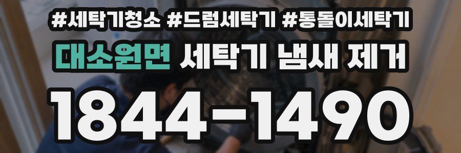 대소원면 세탁기 냄새 제거