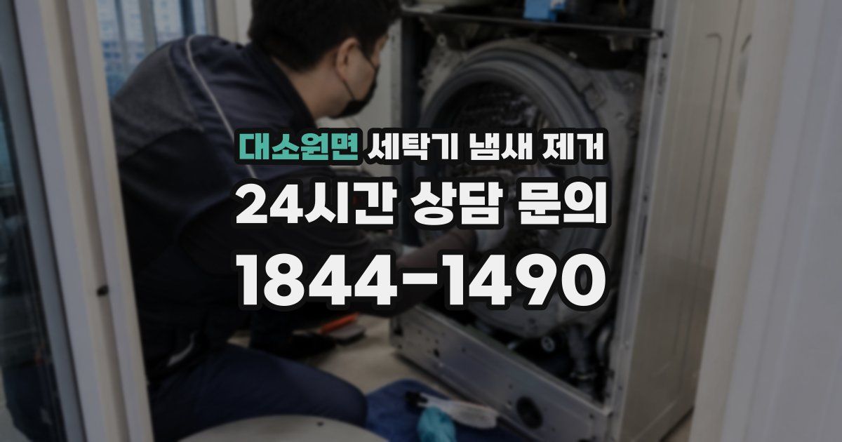대소원면 세탁기 냄새 제거