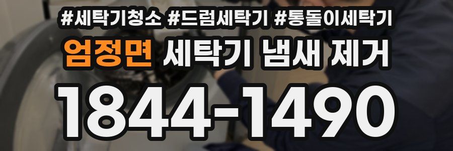 엄정면 세탁기 냄새 제거