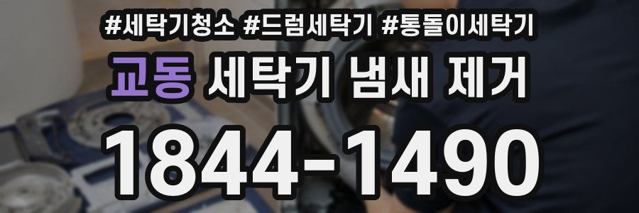 교동 세탁기 냄새 제거