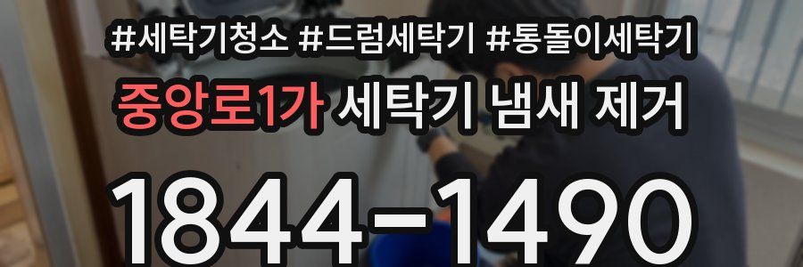 중앙로1가 세탁기 냄새 제거