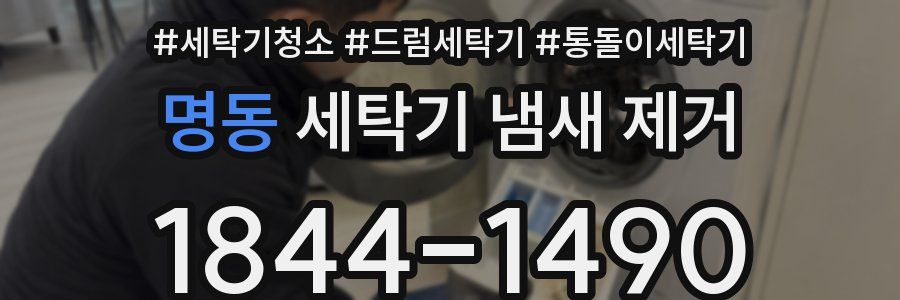 명동 세탁기 냄새 제거
