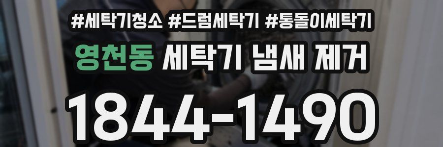 영천동 세탁기 냄새 제거