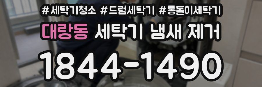 대랑동 세탁기 냄새 제거