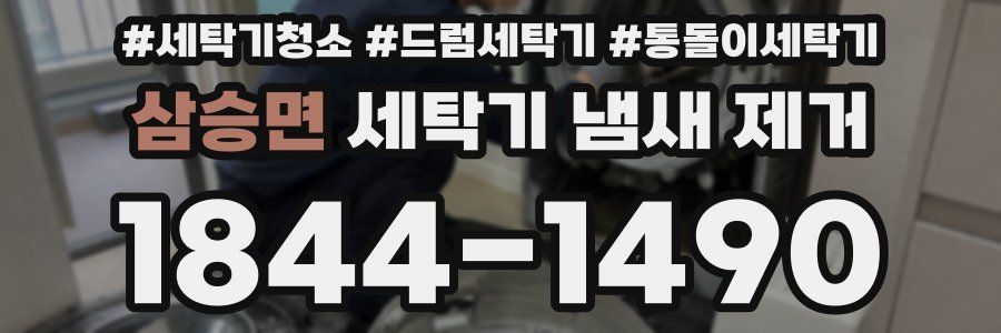 삼승면 세탁기 냄새 제거