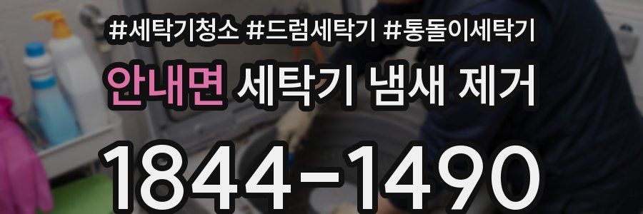 안내면 세탁기 냄새 제거