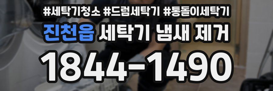 진천읍 세탁기 냄새 제거