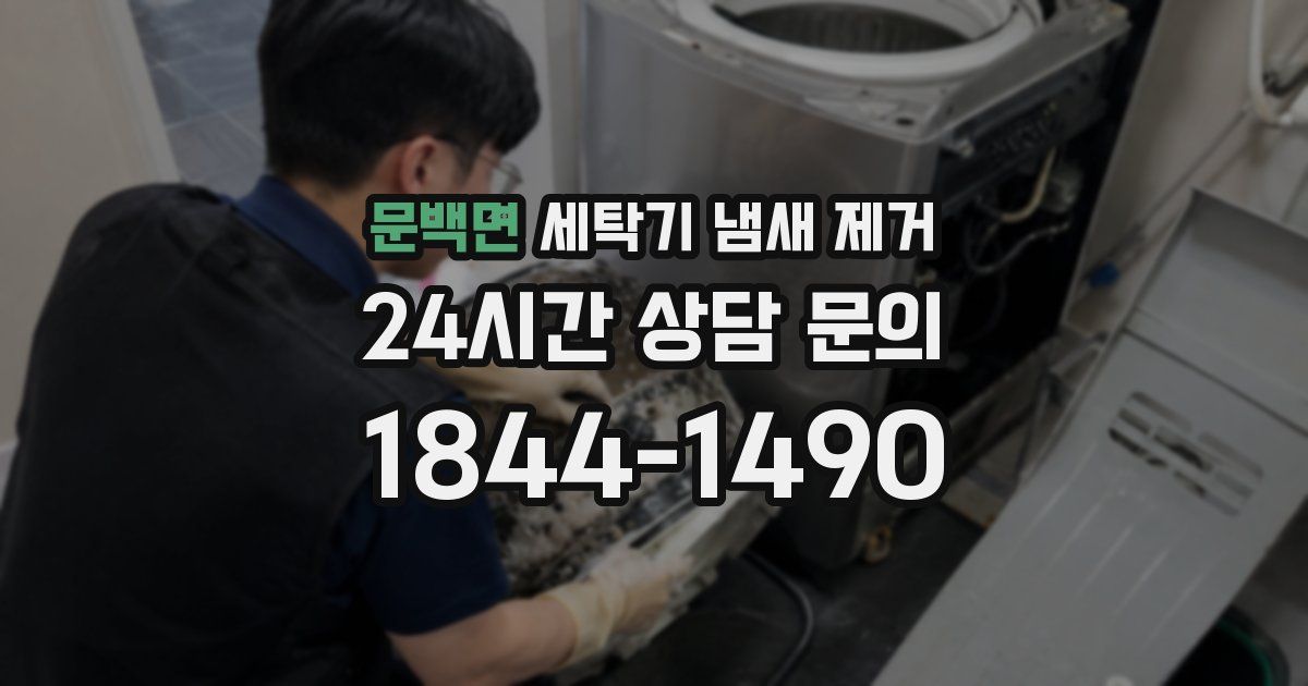 문백면 세탁기 냄새 제거