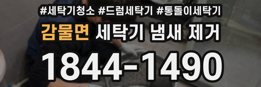 감물면 세탁기 냄새 제거
