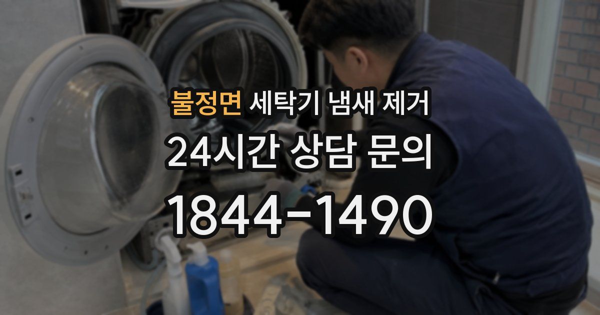 불정면 세탁기 냄새 제거