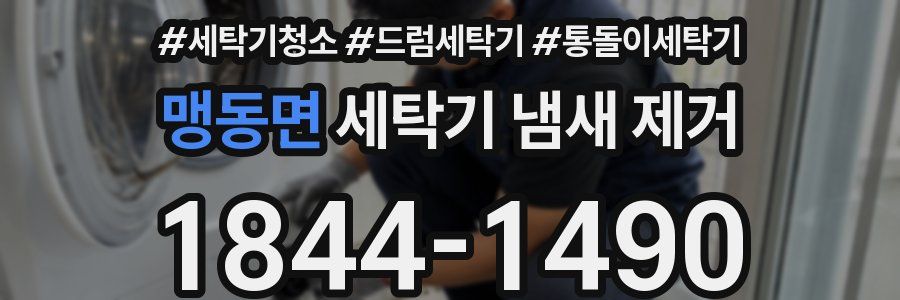 맹동면 세탁기 냄새 제거