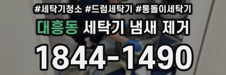 대흥동 세탁기 냄새 제거