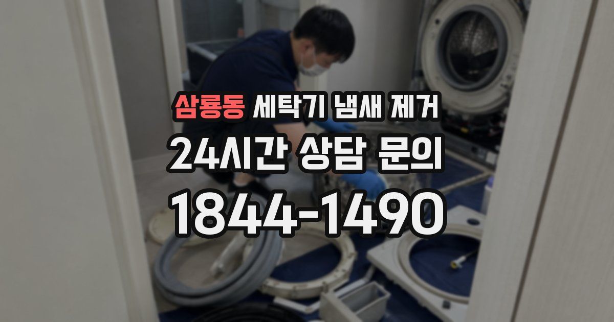 삼룡동 세탁기 냄새 제거
