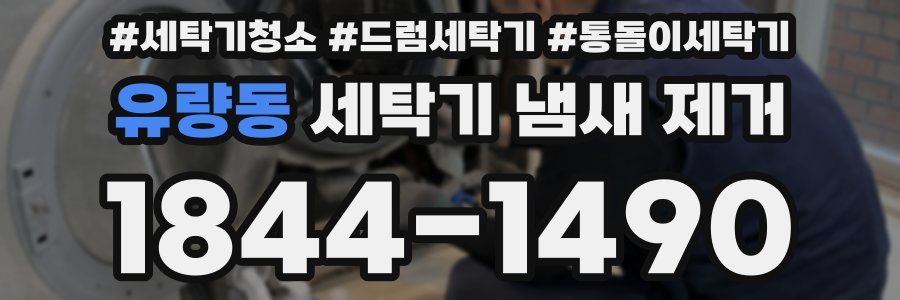 유량동 세탁기 냄새 제거