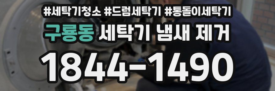 구룡동 세탁기 냄새 제거