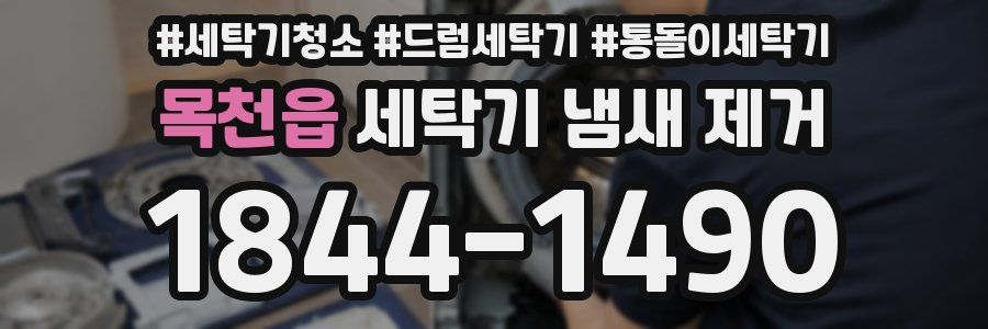 목천읍 세탁기 냄새 제거