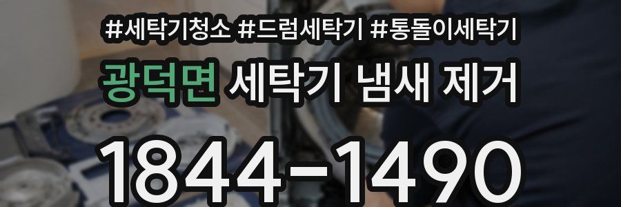 광덕면 세탁기 냄새 제거