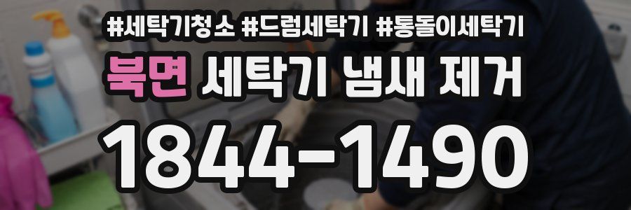 북면 세탁기 냄새 제거