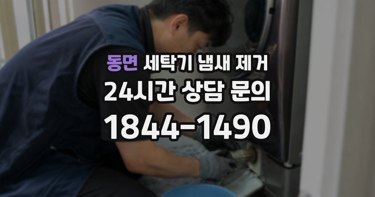 동면 세탁기 냄새 제거