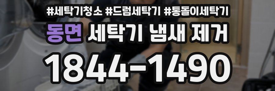 동면 세탁기 냄새 제거
