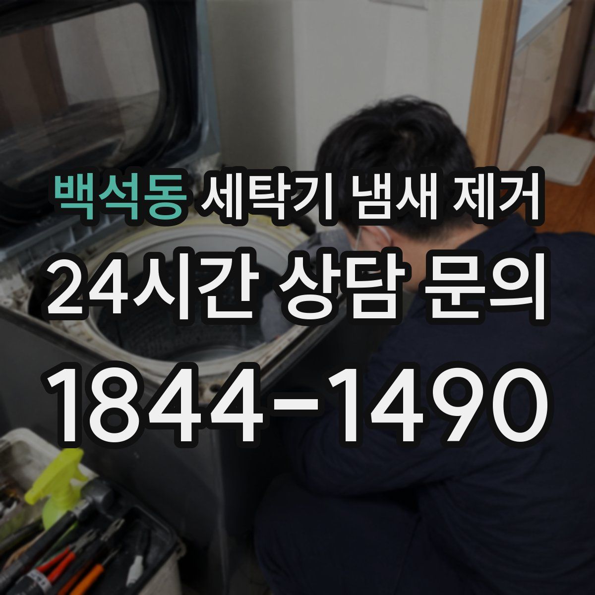 백석동 세탁기 냄새 제거