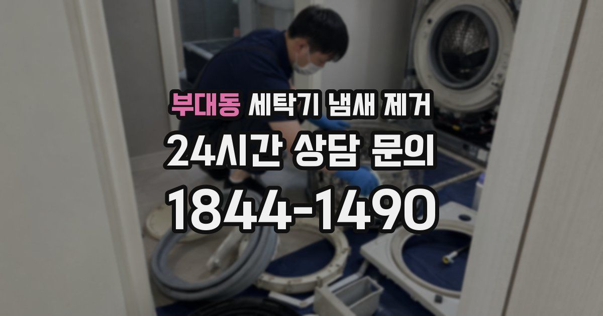 부대동 세탁기 냄새 제거