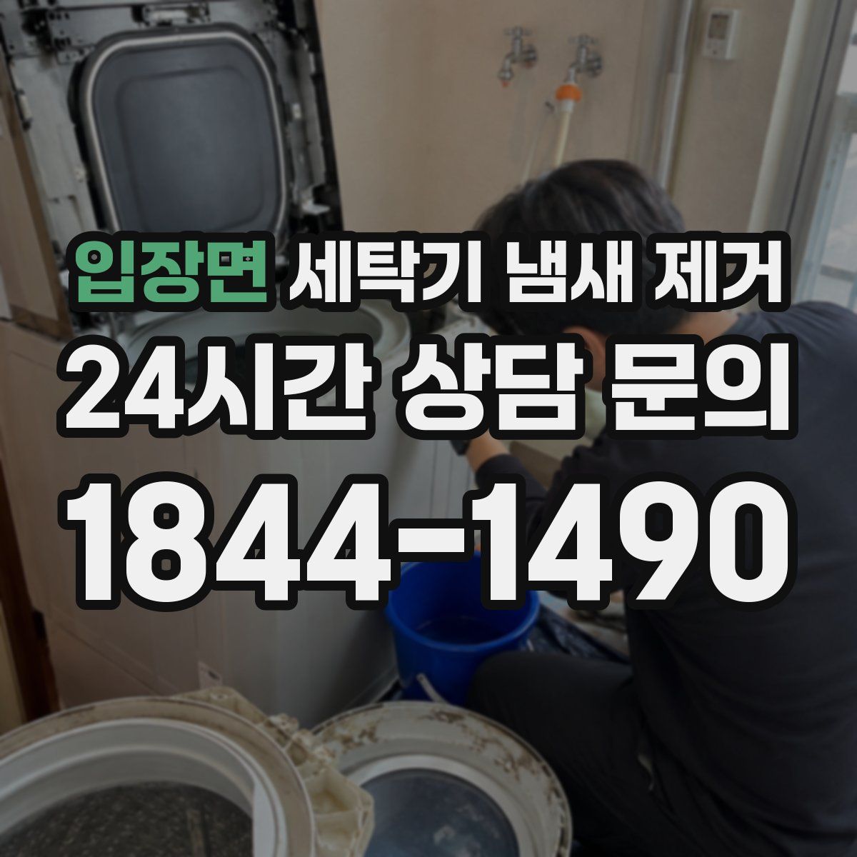 입장면 세탁기 냄새 제거