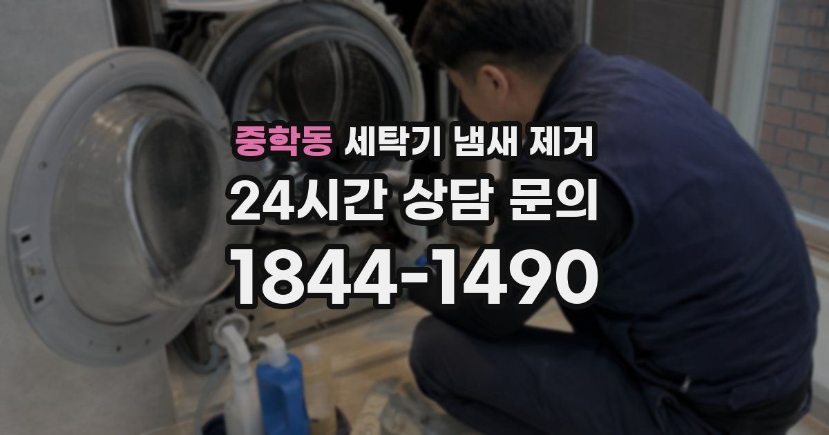 중학동 세탁기 냄새 제거
