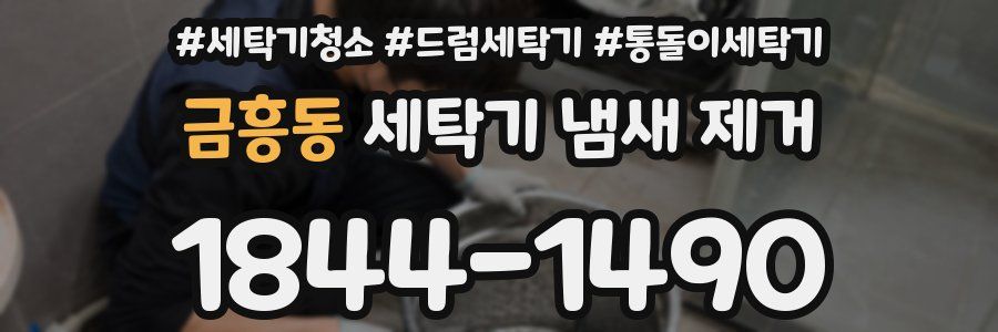 금흥동 세탁기 냄새 제거