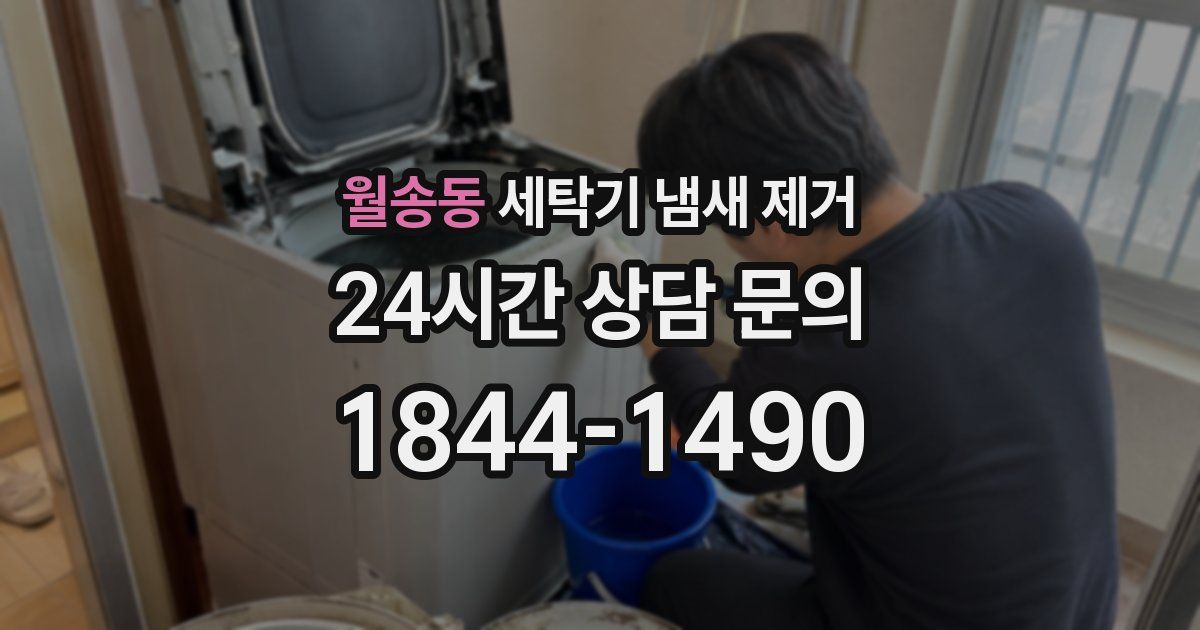 월송동 세탁기 냄새 제거